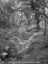 The Hill - Paul Quinn - 9781458058256