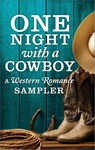 One Night with a Cowboy: A Western Romance Sampler - Linda Lael Miller ; Diana Palmer ; Maisey Yates ; Jodi Thomas ; Trish Milburn ; B.J. Daniels ; Delores Fossen ; Linda Warren ; Lindsay McKenna ; Mia Kay - 9781459295797