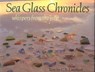Sea Glass Chronicles - C. S. Lambert - 9781461744894
