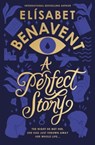 A Perfect Story - Elisabet Benavent - 9781464234408
