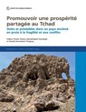 Stimuler une prosperite partagee au Chad - Fulbert Tchana Tchana ; Aboudrahyme Savadogo ; Claudia Noumedem Temgoua - 9781464818875