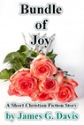 Bundle of Joy - James G. Davis - 9781466034174