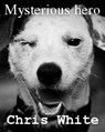 Mysterious hero - Chris White - 9781466080188