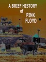 A Brief History Of Pink Floyd - Andrew Means - 9781466193055