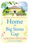 Home to Big Stone Gap - Adriana Trigiani - 9781471148934