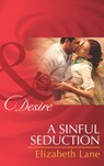 A Sinful Seduction (Mills & Boon Desire) - Elizabeth Lane - 9781472049414