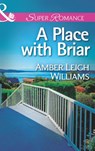 A Place with Briar (Mills & Boon Superromance) - Amber Leigh Williams - 9781472094087