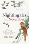 Nightingales in November - Mike Dilger - 9781472962423