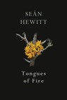 Tongues of Fire - Seán Hewitt - 9781473575929