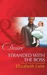 Stranded With The Boss (Billionaires and Babies, Book 63) (Mills & Boon Desire) - Elizabeth Lane - 9781474003537