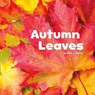 Autumn Leaves - Erika L. Shores - 9781474702973