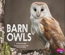 Barn Owls - Melissa Hill - 9781474704953