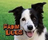 Farm Dogs - Kathryn Clay - 9781474719155