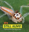 It's Still Alive! - Nikki Potts - 9781474751650