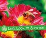 Let's Look at Summer - Sarah L. Schuette - 9781474756655