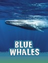 Blue Whales - Mari Schuh - 9781474796187