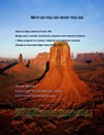 Why do you do what you do? - Vivek Sharma - 9781476311319