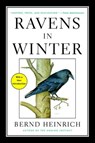 Ravens in Winter - Bernd Heinrich - 9781476794563