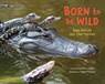 Born to Be Wild: Baby Animals and Their Parents - Jennifer Shotz - 9781478890843