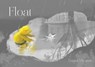 Float - Daniel Miyares - 9781481415255