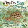 Why Do Sea Turtles Look Like They Are Crying? - SHAND,  Jennifer - 9781486706211
