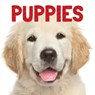 Puppies - Stephanie Meyers - 9781486718580