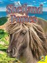 Shetland Ponies - DELL,  Pamela - 9781489675941