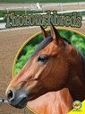 Thoroughbreds - DELL,  Pamela - 9781489675958