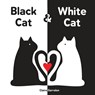 Black Cat & White Cat - Claire Garralon - 9781492637813