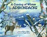 Coming Of Winter In The Adirondacks - Brian J. Heinz - 9781493081646