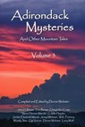 Adirondack Mysteries - Dennis Webster - 9781493081745