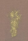 Marfa and Presidio County, Texas - Dr Louise O'Connor ; Cecilia Thompson - 9781493126279