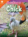 Hatching a Chick - Dona Herweck Rice - 9781493866618