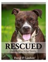 Rescued: Based on a True Dog Story - David D. Lambert - 9781496069894