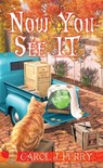 Now You See It - Carol J. Perry - 9781496743640