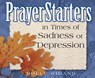 PrayerStarters in Times of Sadness or Depression - Molly Wigand - 9781497699663