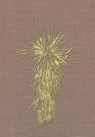 Marfa and Presidio County, Texas - Dr Louise O'Connor ; Cecilia Thompson - 9781499010077