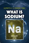 What Is Sodium? - Kathleen A. Klatte - 9781499478518