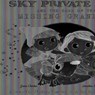 Sky Private Eye and the Case of the Missing Grandma: A Fairy-Tale Mystery Starring Little Red Riding Hood - Jane Clarke - 9781499486704