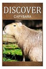 Capybara - Discover: Early reader's wildlife photography book - Discover Press - 9781500384487