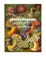 Designs in Nature: the incredible art of Ernst Haeckel - David Abbey - 9781500501600