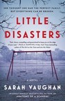 Little Disasters - Sarah Vaughan - 9781501172229
