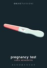 Pregnancy Test - Prof. Karen (Associate Professor of English Weingarten - 9781501376542