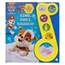 PAW Patrol - Eins, zwei, sauber! - Liederbuch mit Sound - Pappbilderbuch mit 6 Melodien und Geräuschen - Phoenix International Publications Germany GmbH - 9781503762015