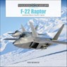 F-22 Raptor - Ken Neubeck - 9781507304297