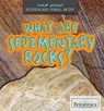 What Are Sedimentary Rocks? - Jennifer Culp - 9781508100461
