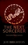 The Next Sorcerer - Joy Brighton - 9781509237326