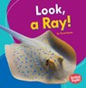 Look, a Ray! - Tessa Kenan - 9781512415070