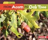 From Acorn to Oak Tree - Emma Carlson-Berne - 9781512456219