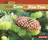 From Cone to Pine Tree - Emma Carlson-Berne - 9781512456226